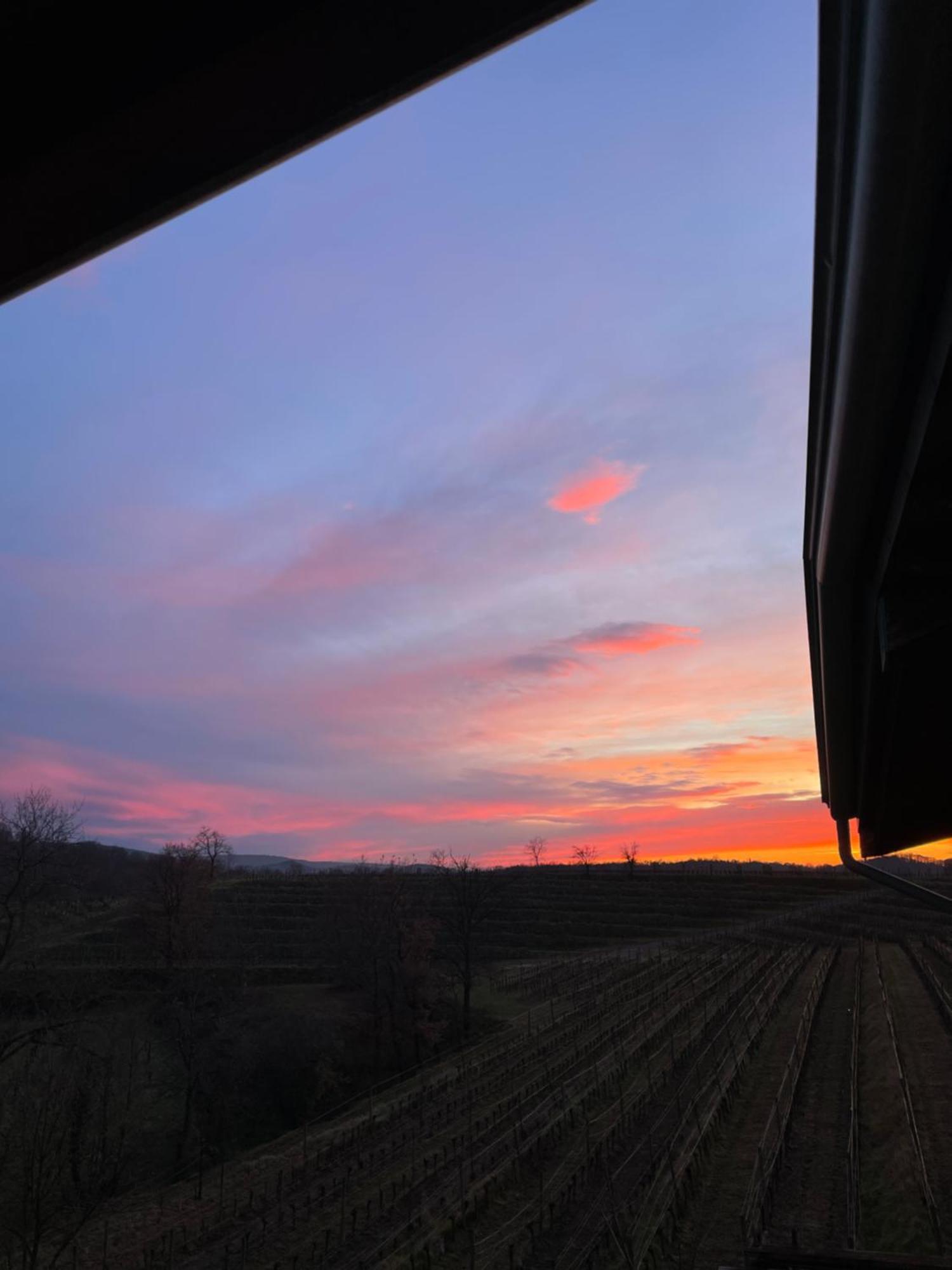 Nema Villa Mossa Bagian luar foto
